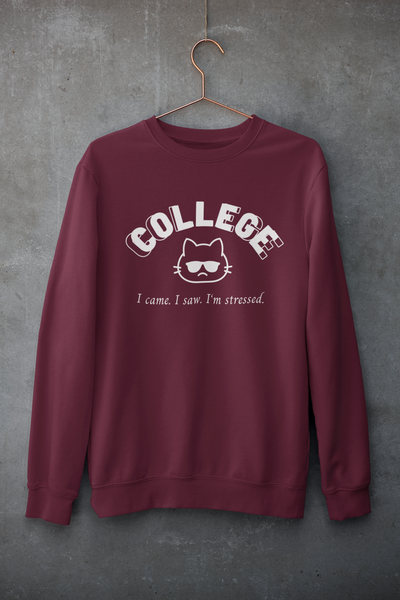 I Came. I Saw. I'm Stressed. - College Cat Merch (3 Colors)