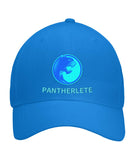 Pantherlete Athletics Dad Caps - 7 Colors - LiVit BOLD