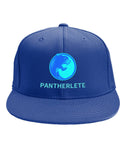 Pantherlete Athletics Caps - 5 Colors - LiVit BOLD