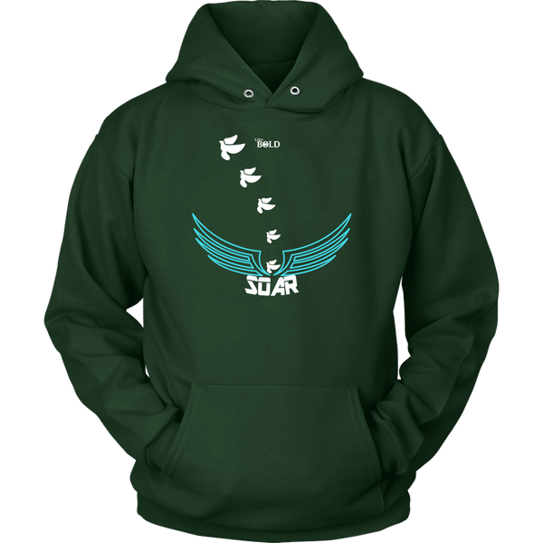 SOAR! Ver 2 - Unisex Hoodie - 11 Colors - LiVit BOLD