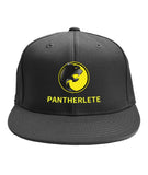 Pantherlete Athletics Caps - 5 Colors - LiVit BOLD