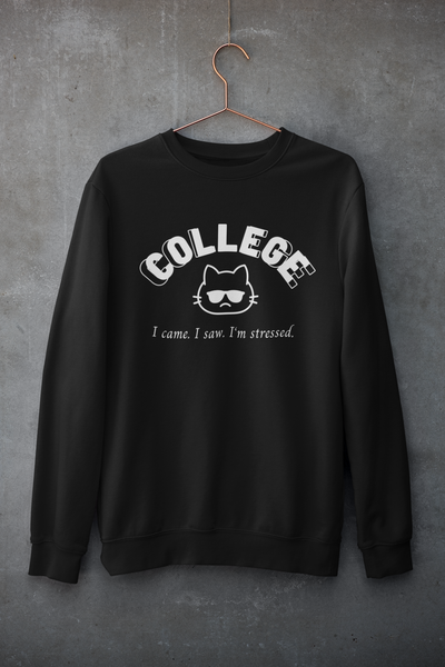 I Came. I Saw. I'm Stressed. - College Cat Merch (3 Colors)