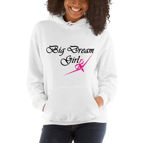 BIG DREAM GIRL - RIBBON BOW PLANE DESIGN - Hooded Sweatshirt - 2 Colors - LiVit BOLD