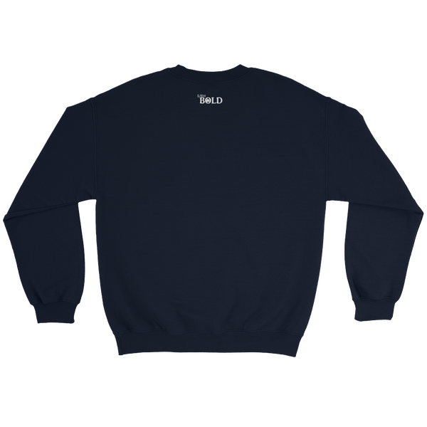 HERO Men's Sweatshirt - 7 Colors - LiVit BOLD - LiVit BOLD