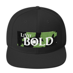 LiVit BOLD Snapback Hat - Army Style Collections - LiVit BOLD