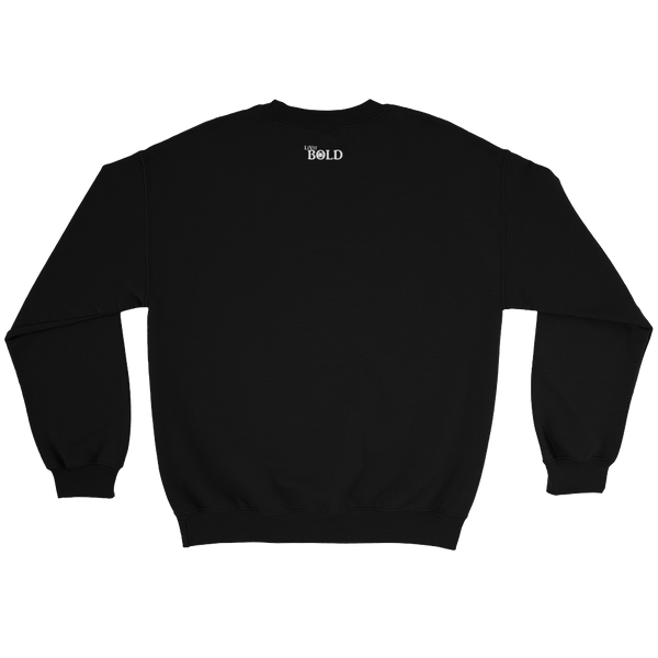 HERO Men's Sweatshirt - 7 Colors - LiVit BOLD - LiVit BOLD