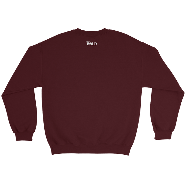 HERO Men's Sweatshirt - 7 Colors - LiVit BOLD - LiVit BOLD