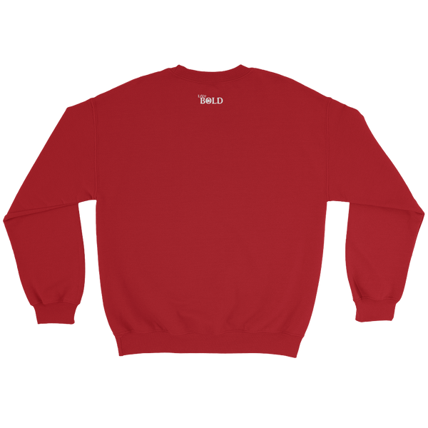 HERO Men's Sweatshirt - 7 Colors - LiVit BOLD - LiVit BOLD