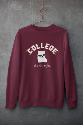 This Class Is Fire - College Cat Merch (3 Colors)